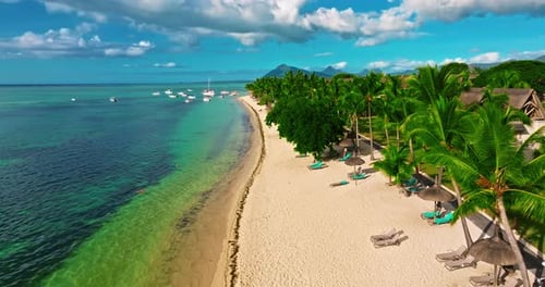 Aerial View of Beach with Palm Trees and Perfect Turquoise Sea Water Relaxing and Exotic Drone View