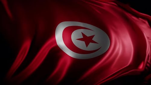 Realistic Waving Tunisia Flag Seamless Animation