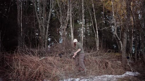 Man Gathering Fallen Branches in Winter Forest