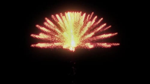 Glowing Firework Sparkles Burst Animation