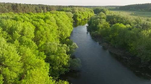 River Beautiful Morning Sun Lake Forest Sunset Dawn Summer Nature