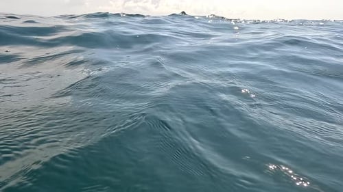 Meereswellen, Wasseroberfläche, Sonnenlicht