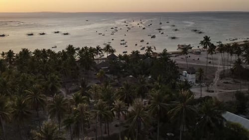 Fishing Boats and Yachts Near the Beach