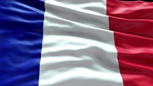 Realistic French Flag Waving in Seamless Loop Animation