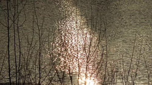 Spring Nature Outside The City 002