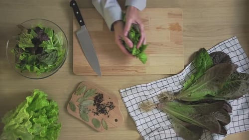 Cutting romaine lettuce green leaves on the home kitchen. Vegetarian salad with greens