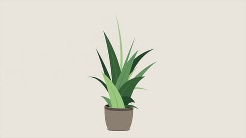 Home plant animation. Potted plant isolated. Decorative green houseplant in pot. Plant in pot