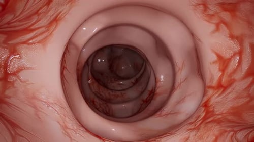 Medical animation showing microscopic journey through human intestinal tract wall