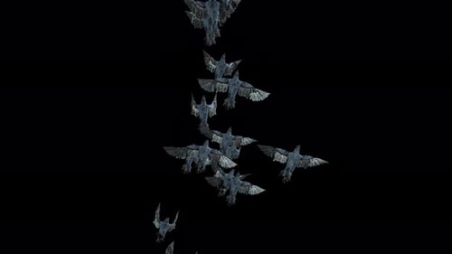 Animated Flock of Crows Flying Upwards Transition