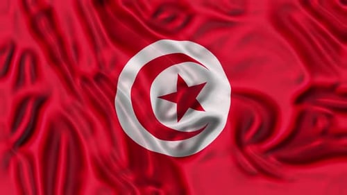 Waving Tunisia National Flag Loop Realistic Animation