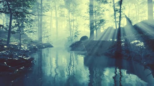 Dark Pond in Mysterious Forest
