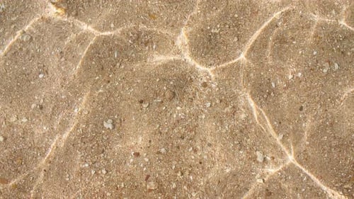 Water Splash Sand Corals Pure Water with Reflections Sunlight and Shadows in Slow Motion Water