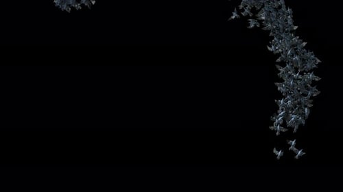 Dynamic Swarm of Flying Bats Loop Overlay