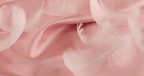 Plumas de cisne blancas sobre seda rosa pastel.