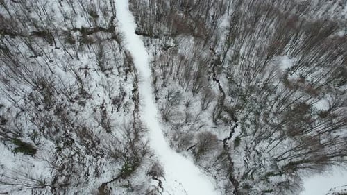 Snowy Forest and Road