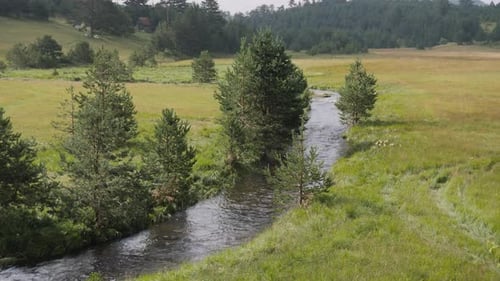 Ein atemberaubend schöner Landschaftsblick auf den Fluss, der in den grünen Feldern fließt.