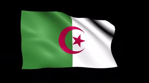 Algeria National Flag Waving Seamless Loop