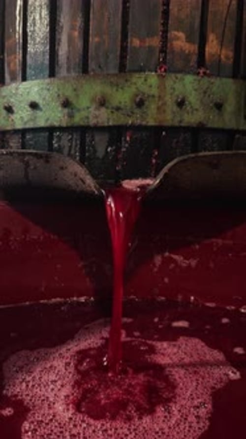 Pure Fermented Red Wine Details While Flowing And Splashing