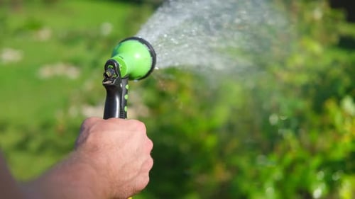 Gardener with a Watering Hose Person Spraying Green Grass Lawn with Hose Sprayer Irrigation with