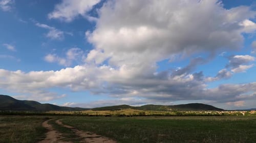 grazing on the plain