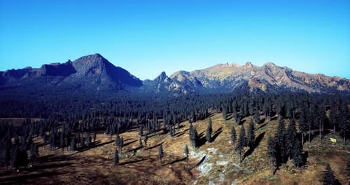 Majestic Mountain Forest Flyover Animation