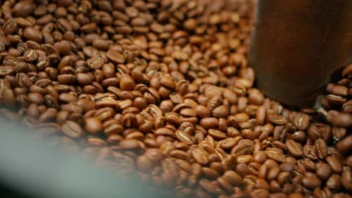 Roasted Coffee Beans Turning in Industrial Machine