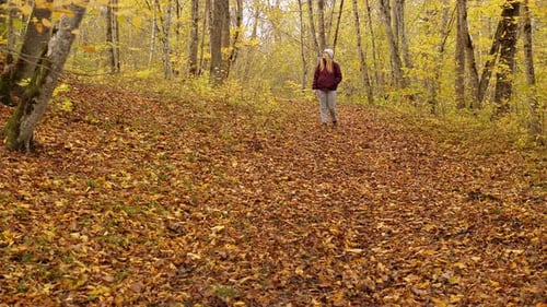An Active Overweight Woman Enjoys a Beautiful Autumn Day in the Forest