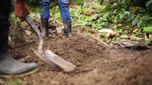 Farmers Digging with Shovel in Rural Area
