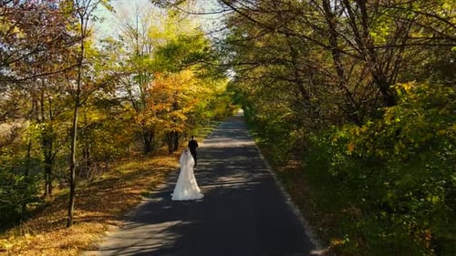 Bride and Groom Walking on Tree Lined Road