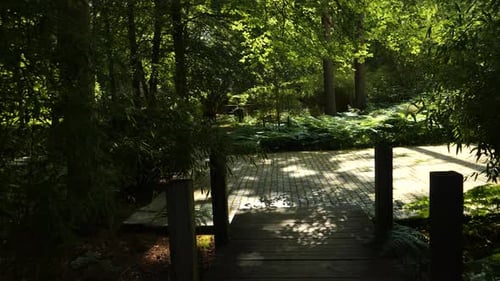 Ein ruhiger Gehweg durch einen üppigen, sonnendurchfluteten japanischen Garten im Ronneby Brunnspark