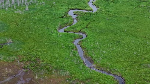 Aerial drone view of a winding stream cutting through lush green wetlands in Michigan’s Upper