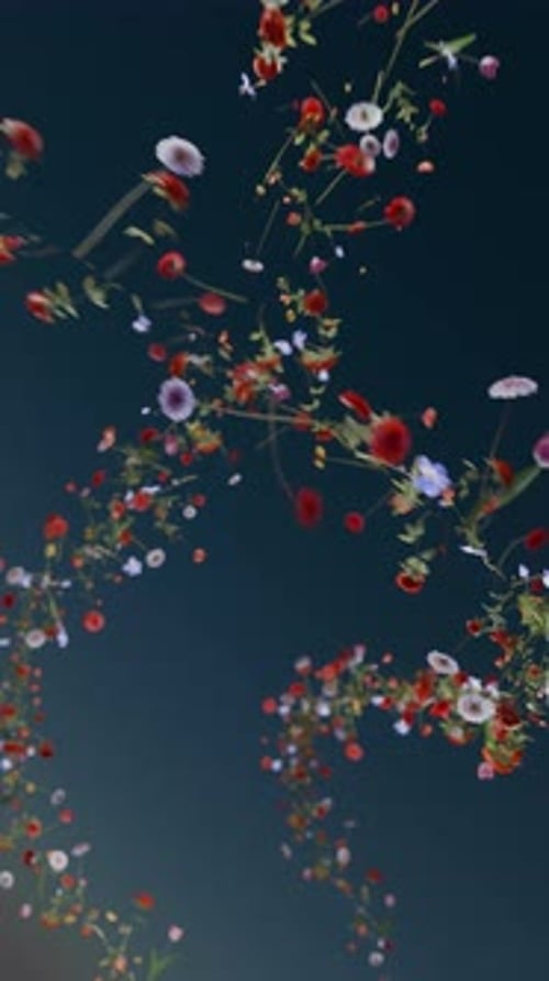 Vertical Video of Seamless Loop of Two Flowing Streams of Flowers
