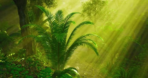 Sunlight Filtering Through Lush Foliage in a Serene Forest Setting