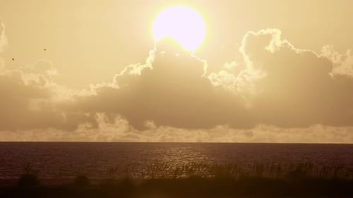 warm and tropical beach ocean sunset with bird silhouettes flying