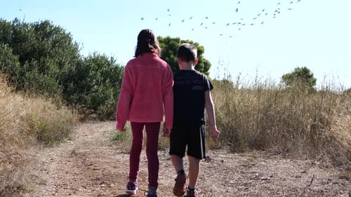 Young kids brother and sister walking together on a path. Slow-motion gimbal shot.
