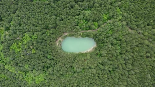 Aerial Lake in Forest