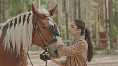 Portrait of Beautiful Woman Bonding with Horse Outdoors