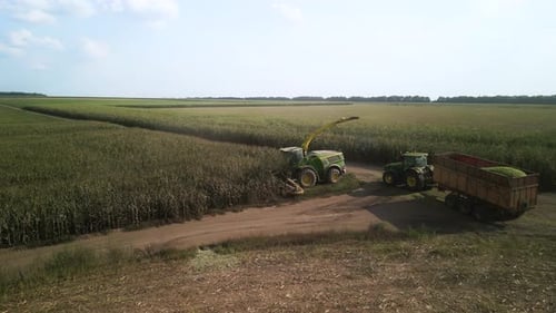 Harvester Collecting Corn in Rural Farmland on Sunny Day