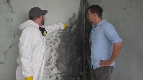 a Customer and a Mold Disinfection Service are Talking Against a Background of Black Mold