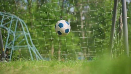 Soccer Ball Rolls Out of Goal Post on Grassy Field After Scoring