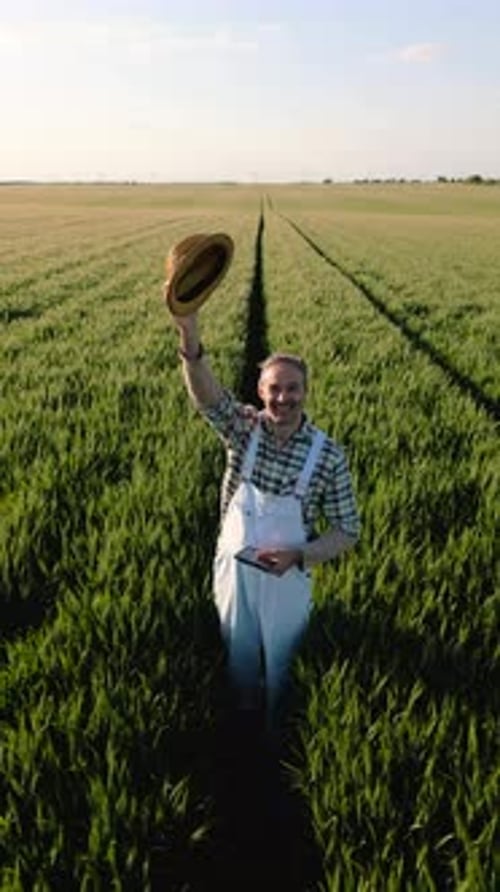 Aerial view of adult male farmer with hat standing in green wheat field looking at camera.