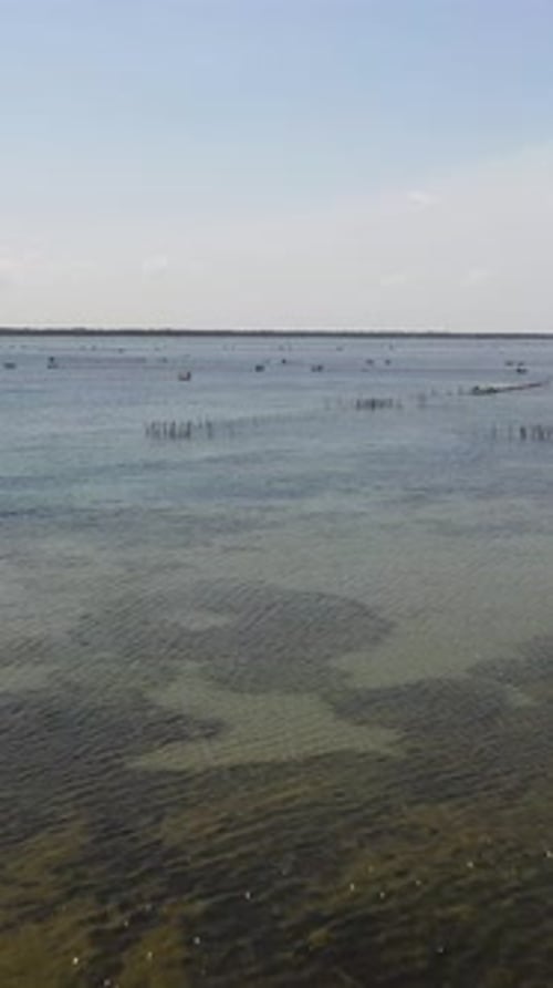 Fish Farm in the Sea Jaffna Sri Lanka