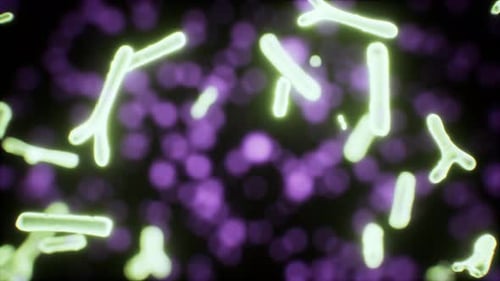 Glowing Microscopic Organisms Animation Background