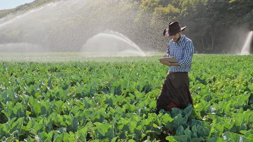 Farmer Using Digital Tablet During Monitoring His Plantation