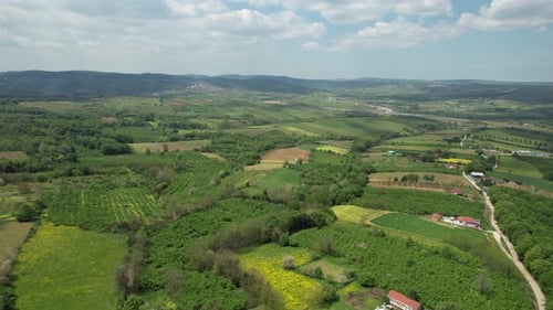 Countryside and Farmland Near Village