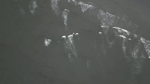 Solitary Surfer dances on the roaring symphony of ocean waves, aerial