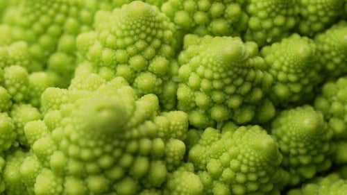 Macro Of Fresh Romanesco Broccoli Cabbage Unique Cauliflower Fractal Vegetable