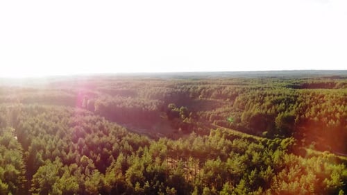 Perfektes Wanderabenteuer durch den Wald von Prądzonka in Nordpolen -Flugaufnahme