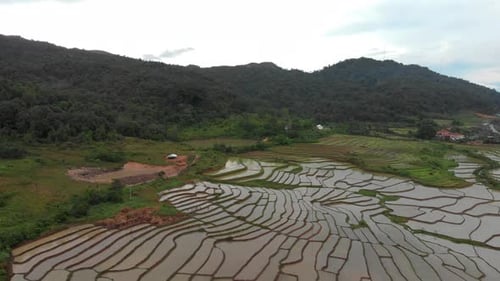 Imagens de 4K de voo sobre belos campos de arroz em um vale sereno no Laos, sudeste de A