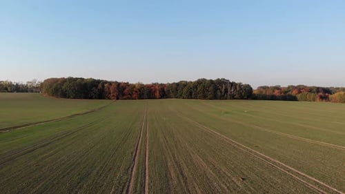 Flug über Felder im Abendlicht.